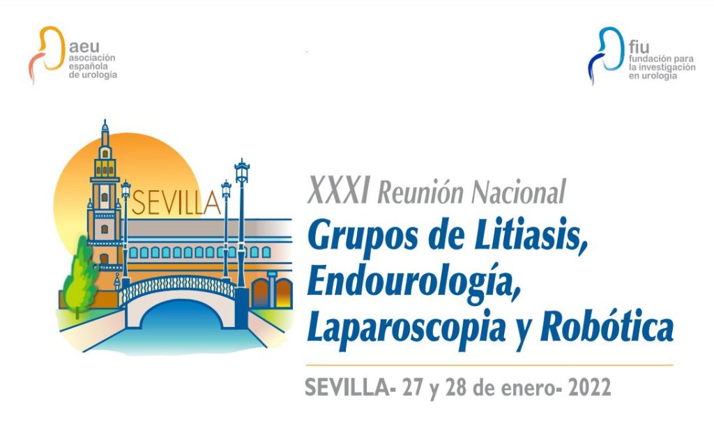 Reunión Nacional de los Grupos de Litiasis y de Endourología, Laparoscopia y Robótica